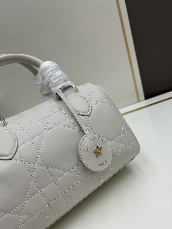 Dior 0270 20x13 5x12cm jj2_1