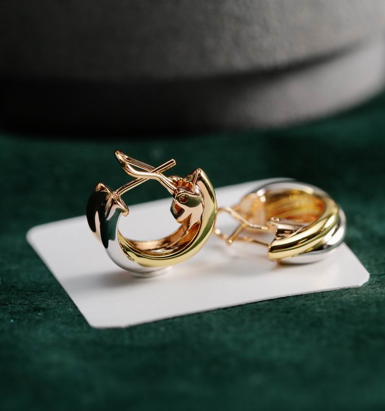 Cartier earring 04lyx45 (9)