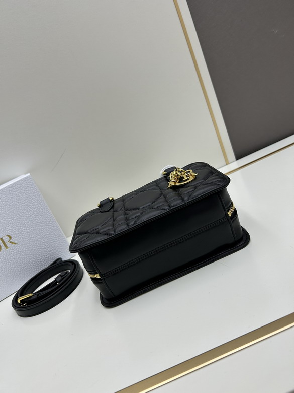 Dior Toujours 0315 20x12x8cm jj_1