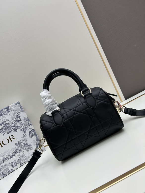 Dior 0270 20x13 5x12cm jj_1