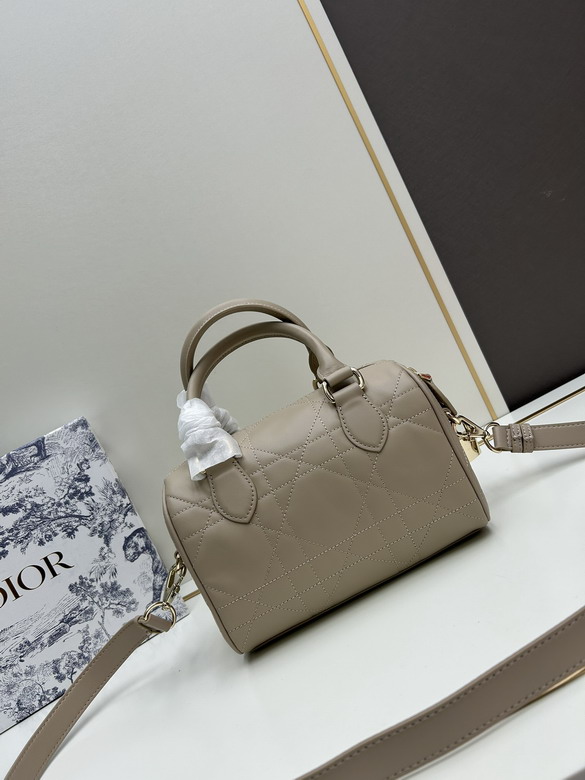 Dior 0270 20x13 5x12cm jj1_1