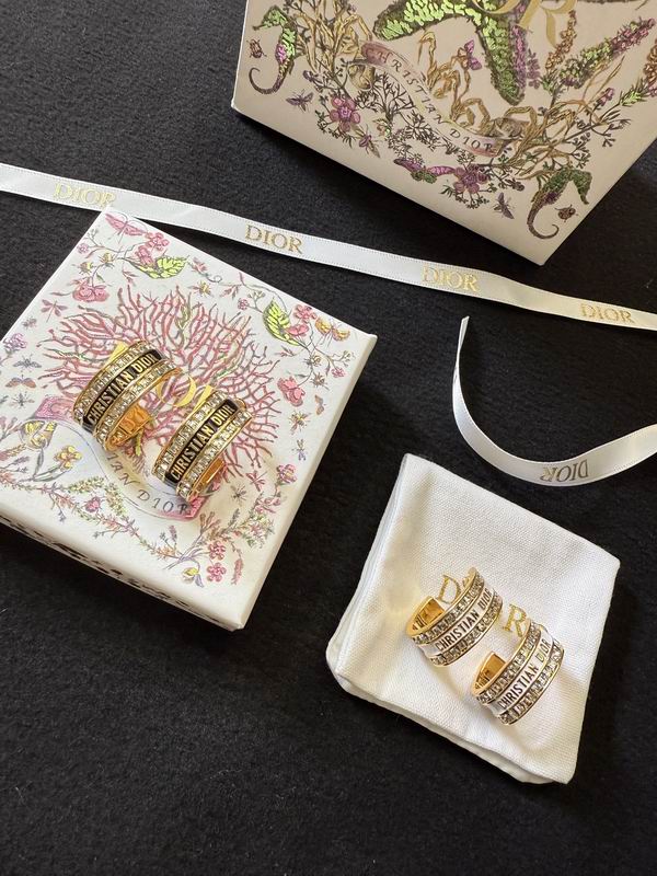 Dior Earring 05yxh154 (1)