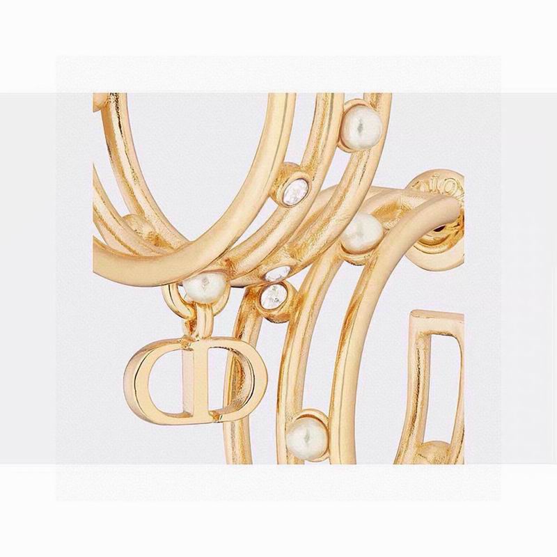 Dior Earring 06yxh05 (1)