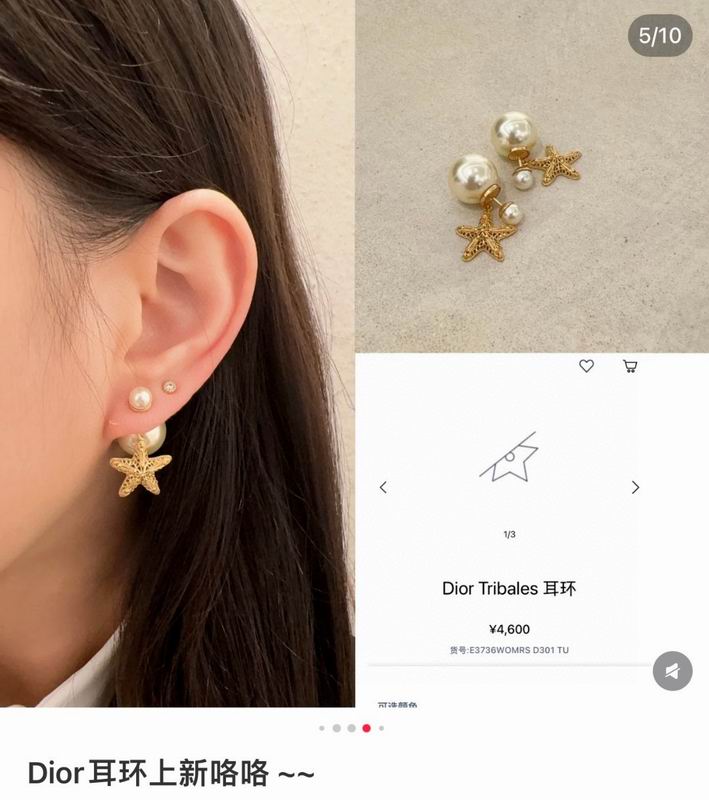 Dior Earring 07yxh02 (1)