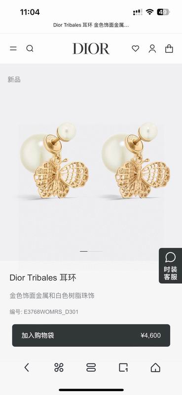 Dior Earring 05yxh152 (1)