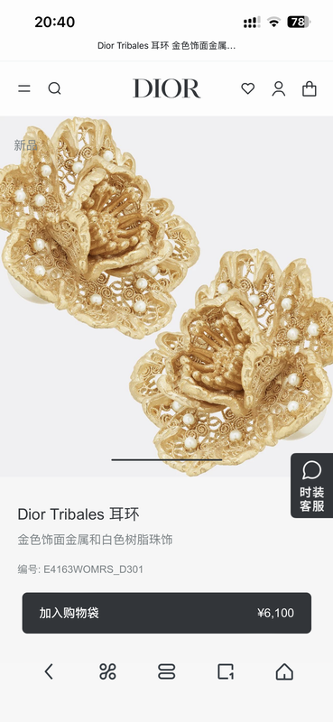 Dior Earring 05yxh144 (1)
