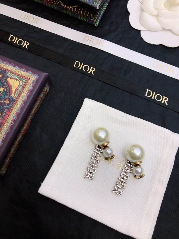 Dior Earring 05yxh155 (1)