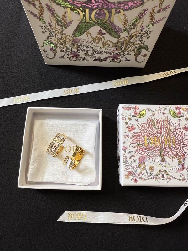 Dior Earring 05yxh154 (1)