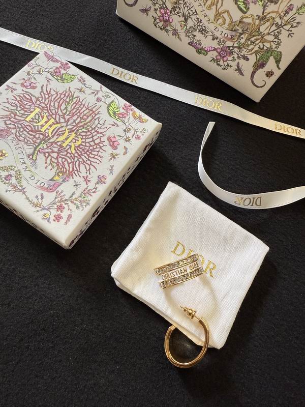 Dior Earring 05yxh154 (1)