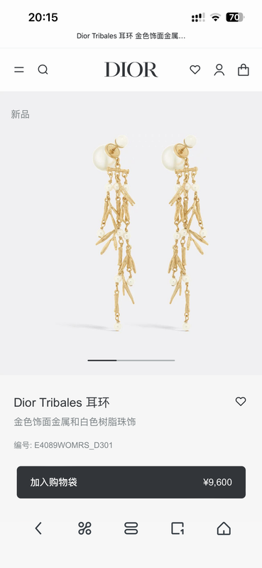Dior Earring 05yxh161 (1)