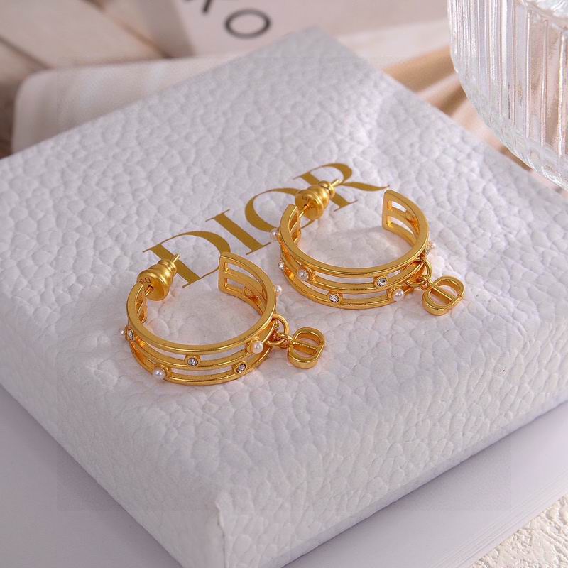 Dior Earring 06yxh05 (1)