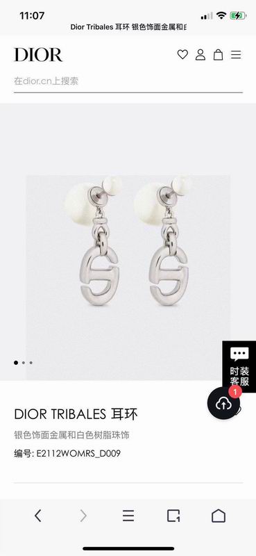 Dior Earring 05yxh107 (1)