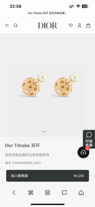 Dior Earring 05yxh137 (1)