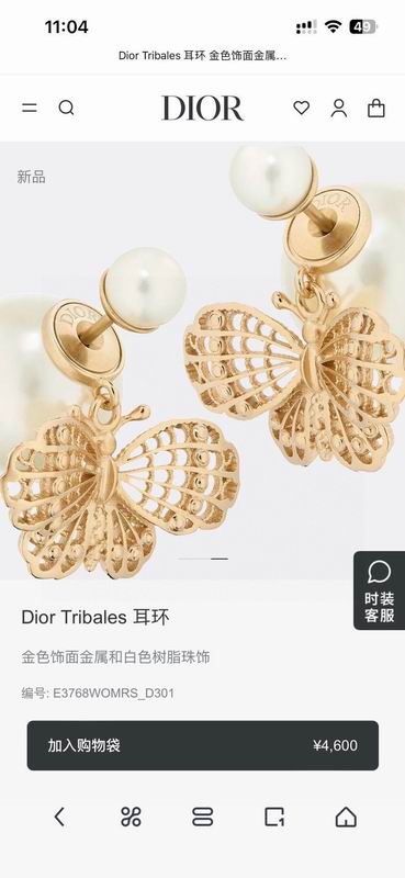 Dior Earring 05yxh152 (1)