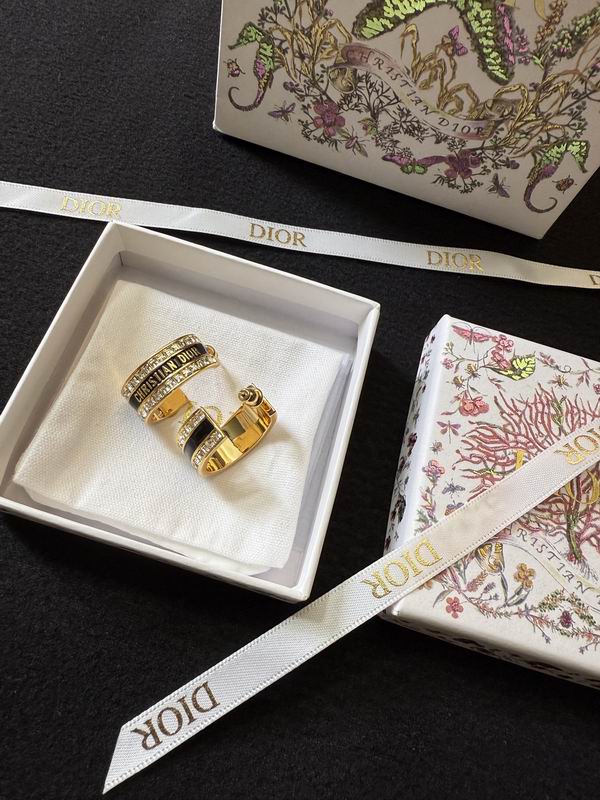 Dior Earring 05yxh154 (1)