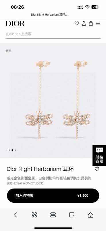 Dior Earring 05yxh135 (1)