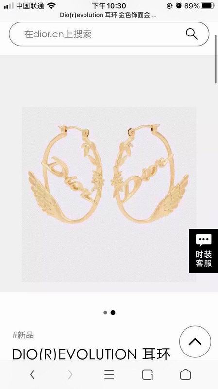 Dior Earring 05yxh143 (1)