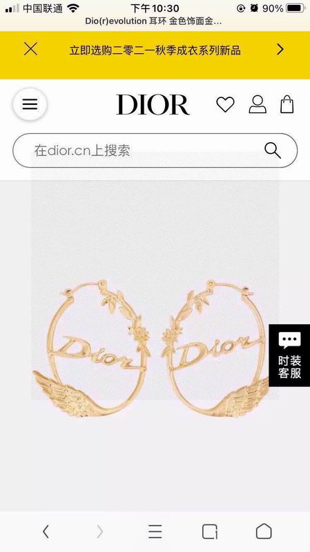 Dior Earring 05yxh143 (1)