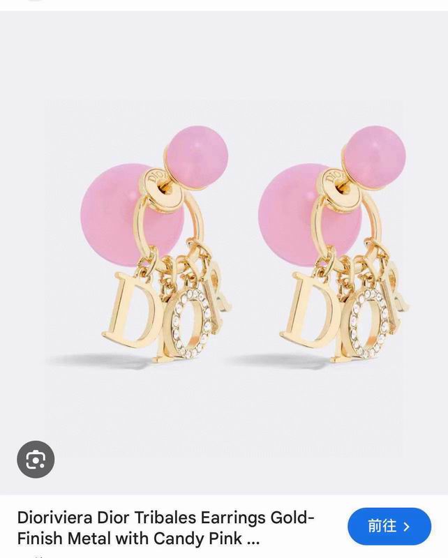Dior Earring 05yxh88 (1)