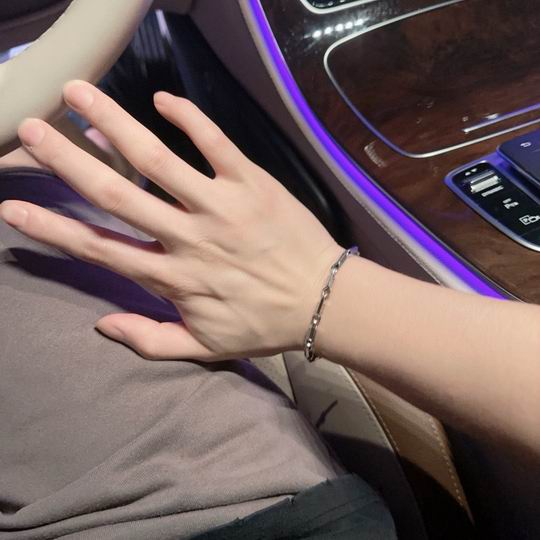 Dior Bracelet 11lyh119 (1)