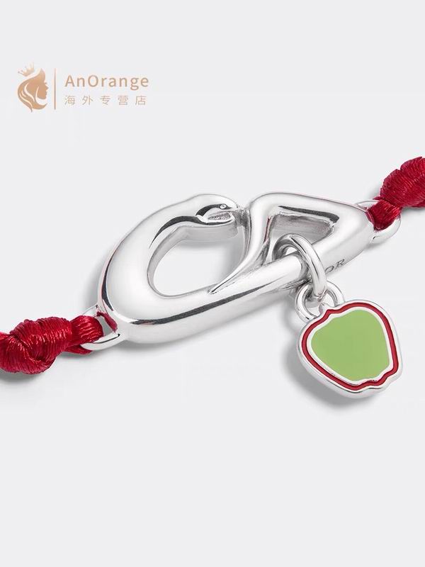 Dior Bracelet 05yxh01 (1)