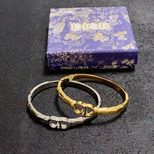 Dior Bracelet 01lyh89 (1)
