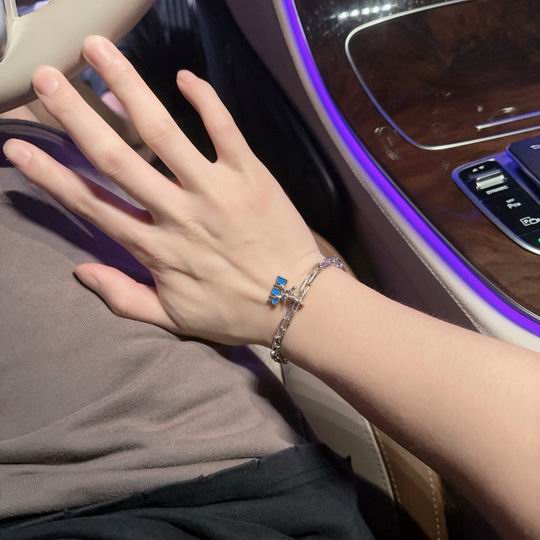 Dior Bracelet 11lyh122 (1)