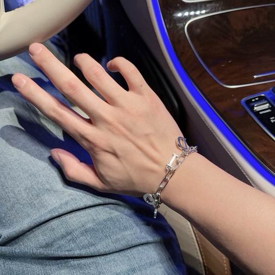 Dior Bracelet 11lyh108 (1)