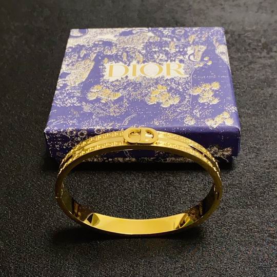 Dior Bracelet 12lyh11 (1)