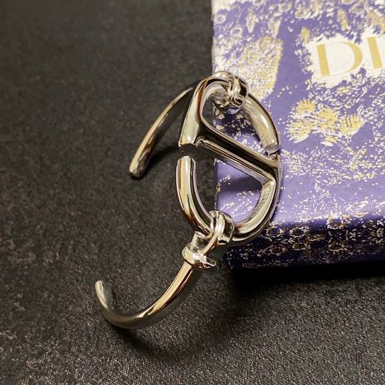 Dior Bracelet 11lyh09 (1)