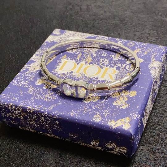 Dior Bracelet 01lyh89 (1)