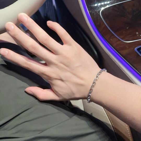 Dior Bracelet 11lyh47 (1)