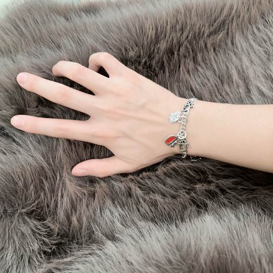 Dior Bracelet 11lyh124 (1)