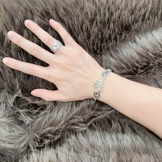 Dior Bracelet 11lyh114 (1)