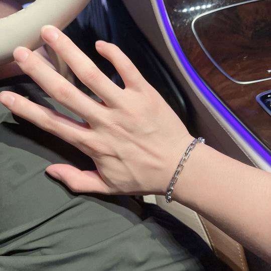 Dior Bracelet 11lyh47 (1)