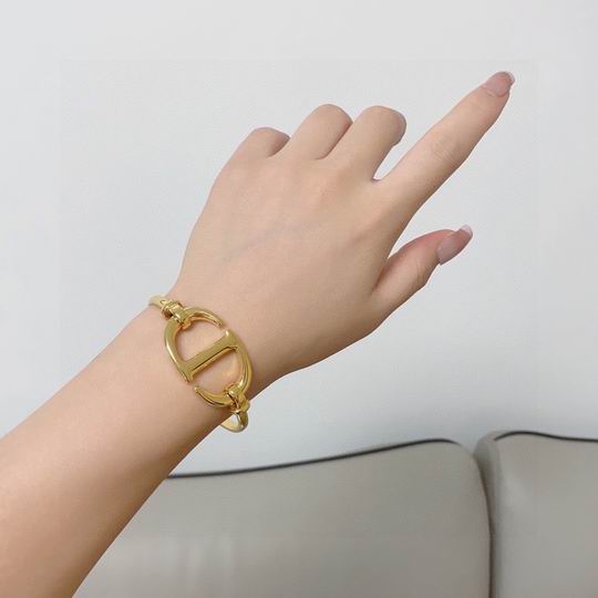 Dior Bracelet 11lyh09 (1)