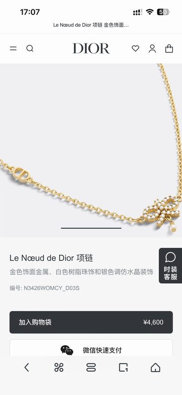 Dior Necklace 05yxh31 (1)
