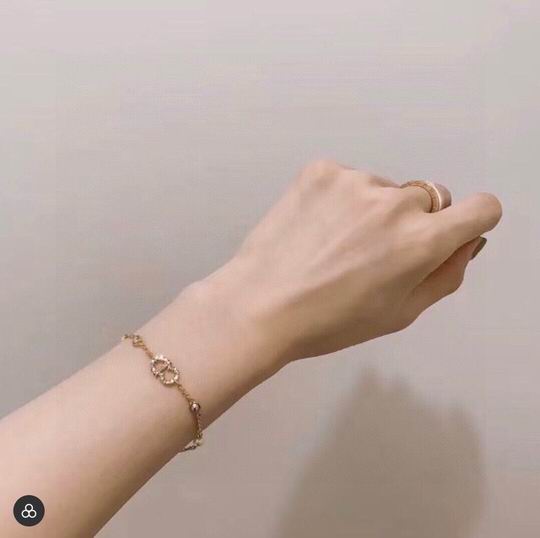 Dior Bracelet 12lyh58 (1)