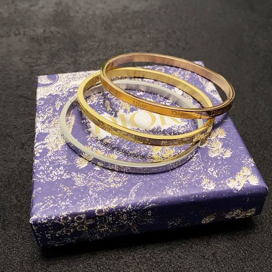 Dior Bracelet 11lyh03 (1)