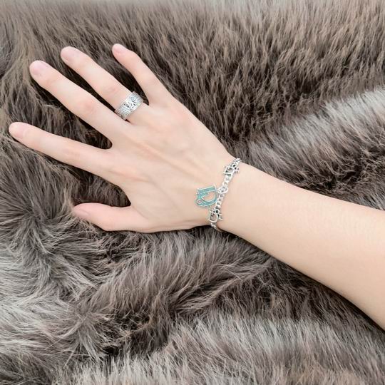 Dior Bracelet 11lyh113 (1)