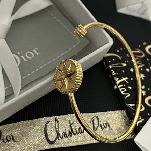Dior Bracelet 11lyh02 (1)
