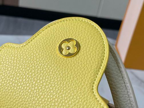 Capucines M20844 27x18x9cm ss (1)