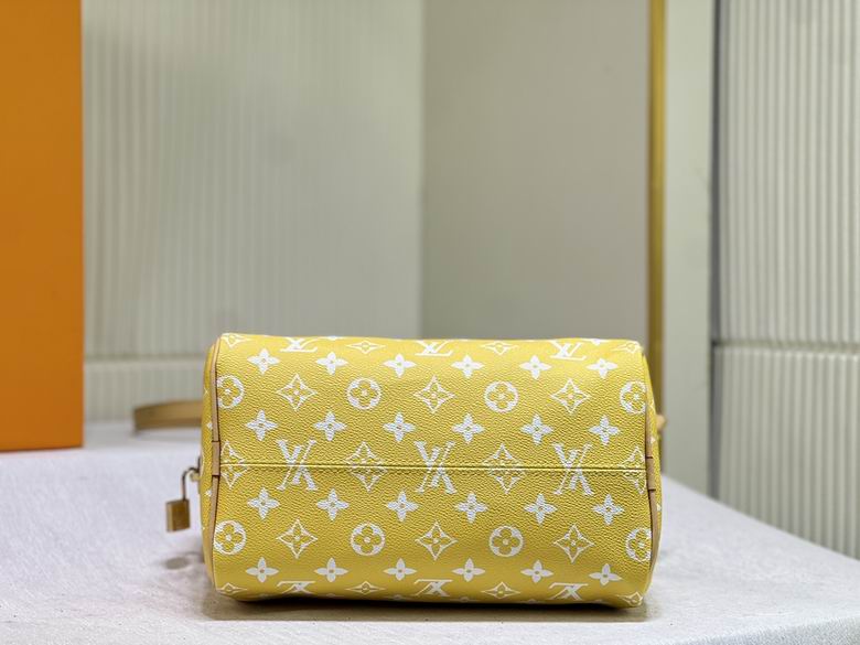 Speedy M24424 25x19x15cm ss (1)