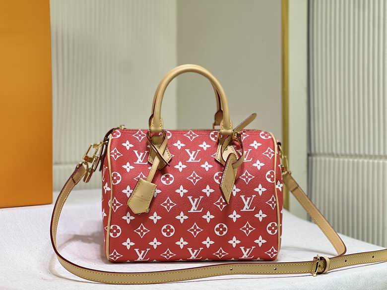 Speedy M24424 25x19x15cm ss (1)