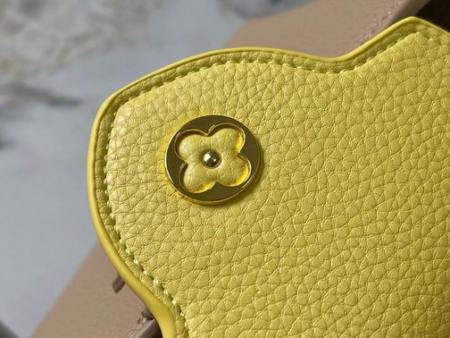 Capucines M20845 21x14x8cm ss (1)