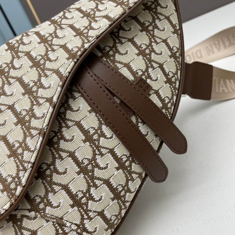 Dior saddle 20x28.6x5cm ww (1)