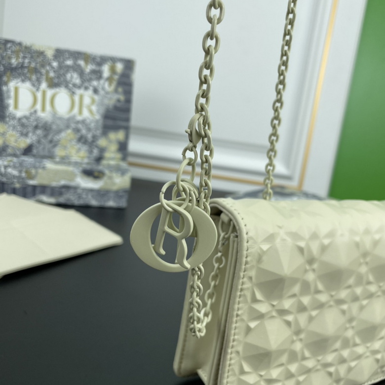 Diorcaropouch 1228 YW (1)