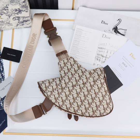 Dior saddle 9922 20x28.6x5cm ww (1)