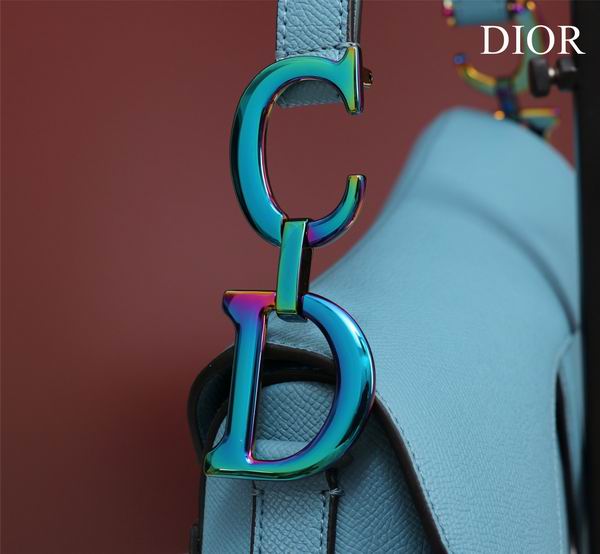 Dior M0446手掌纹 25.5x20x6.5cm CN7色 (1)
