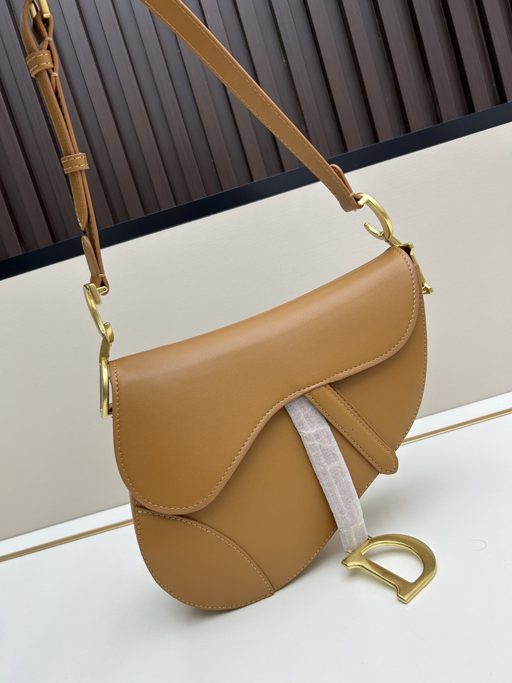 Dior Saddle 24x20x7cm jj2_1